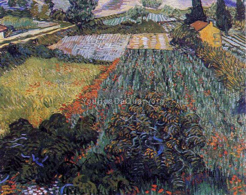 罂粟的田野 - 文森特·威廉·梵高